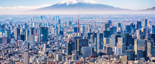 Een weidse luchtfoto van de skyline van Tokio met de rood-witte Tokyo Tower, met op de achtergrond de met sneeuw bedekte top van Mount Fuji.