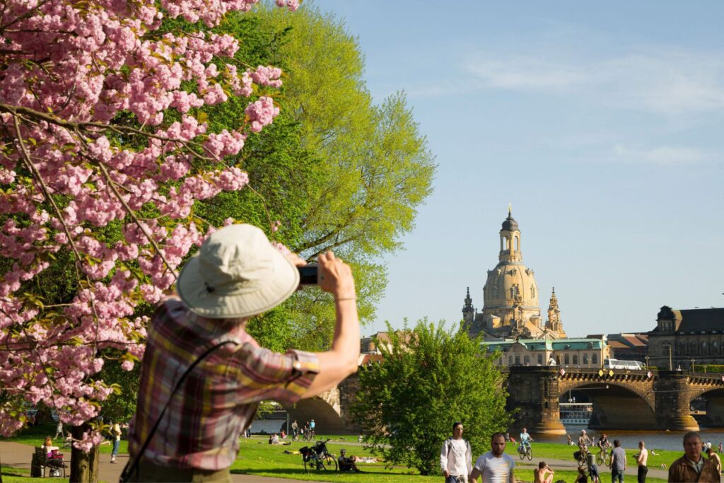 Bezoek Dresden in het voorjaar en geniet van de bloesems langs de Elbe | © Sven Döring