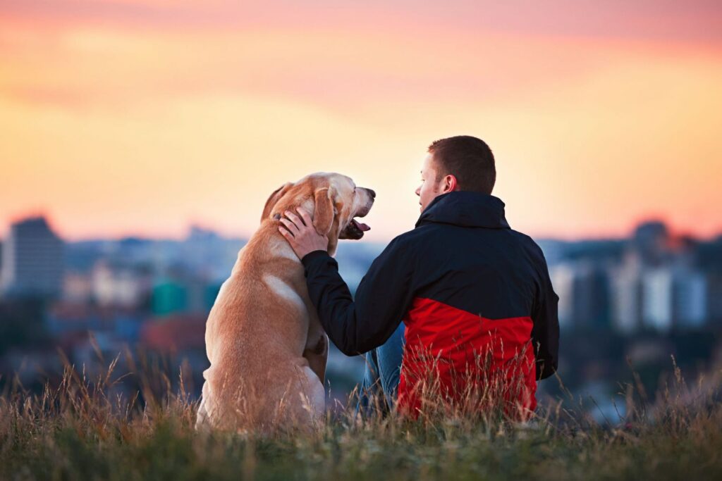 Een gezonde hond is een blije hond | iStock - Chalabala