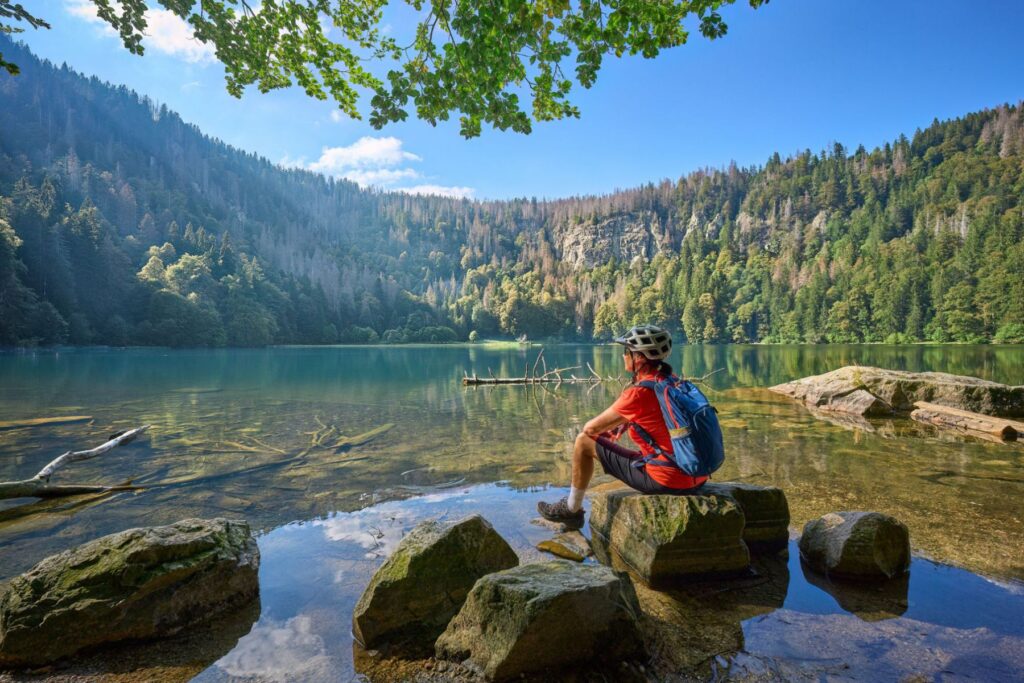 De prachtige natuur van het Zwarte Woud | © iStock - Uwe Moser