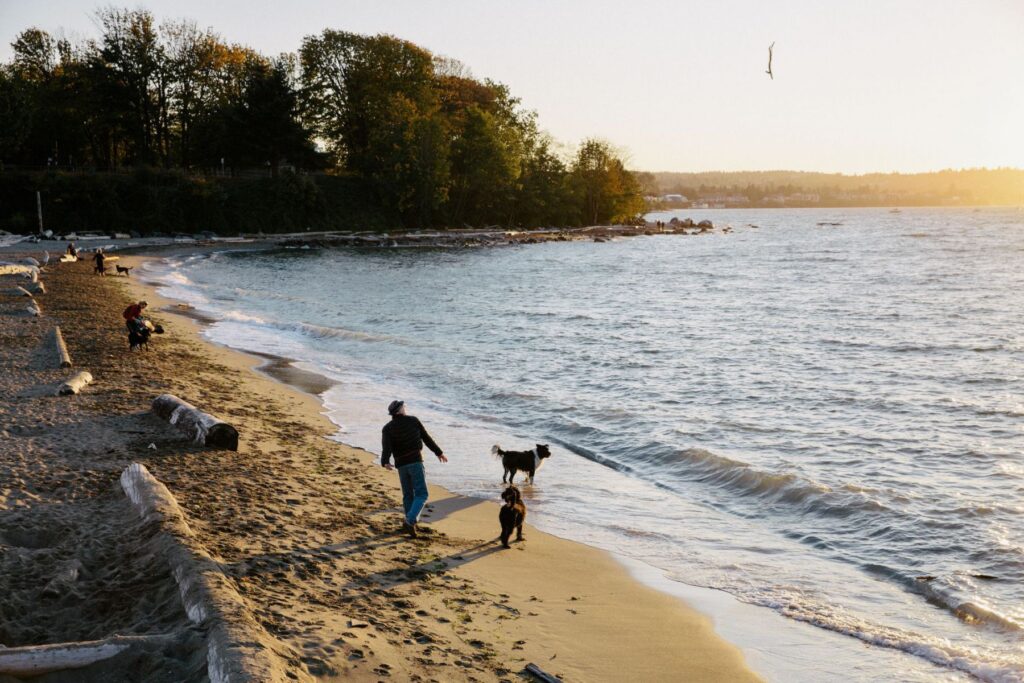 Kitsilano Beach is perfect om uit te waaien | © Destination BC / Grant Harder